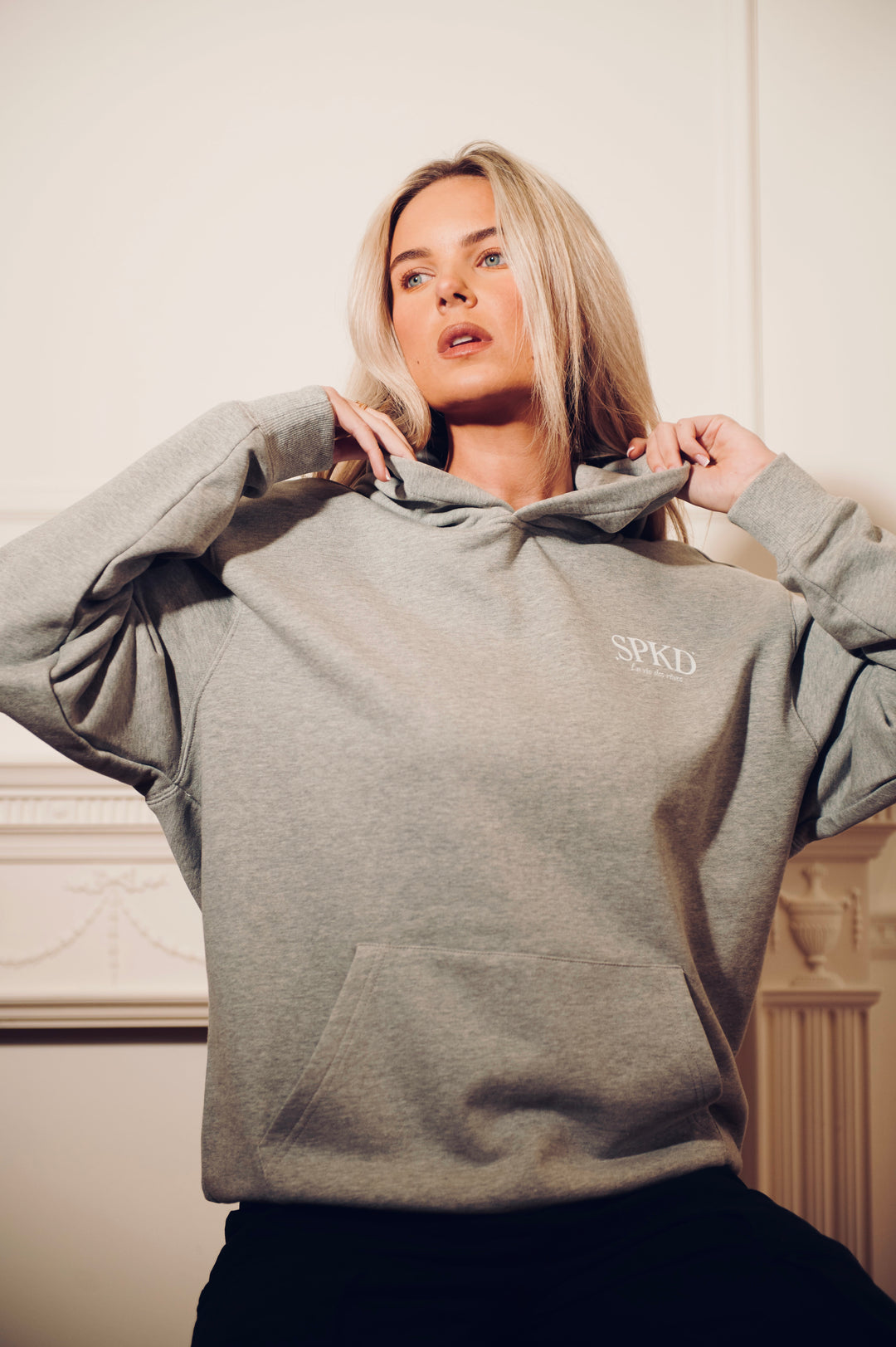 La Vie Des Rêves Hoodie Grey